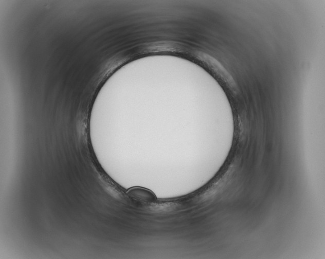 X0000111661225200908281103