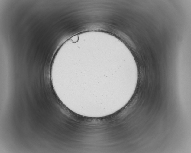 X0000111661226200908281103