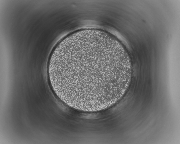 X0000111661229200908281103