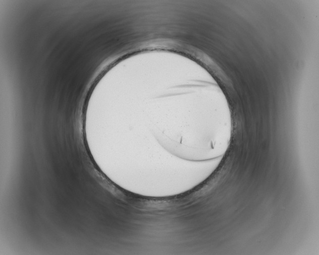 X0000111661232200908281103