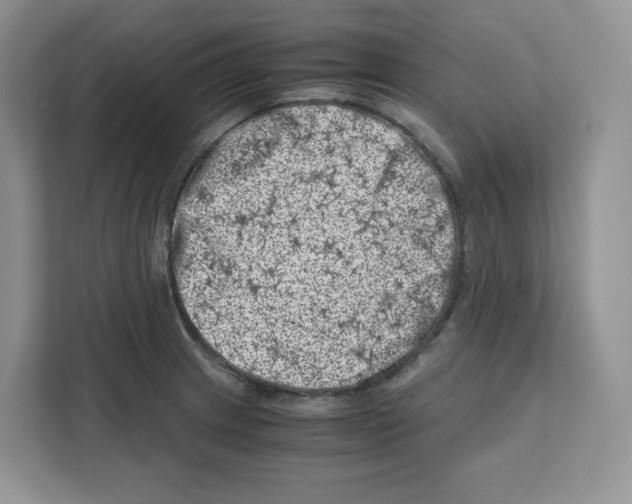 X0000111661233200908281103