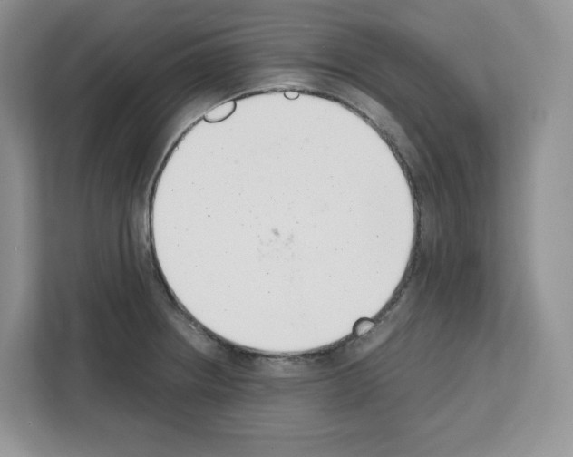 X0000111661234200908281103