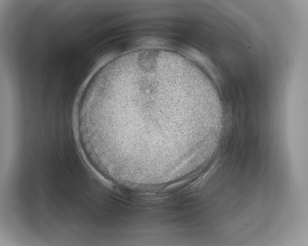 X0000111661235200908281103