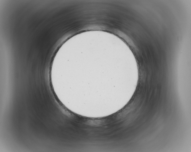 X0000111661237200908281103