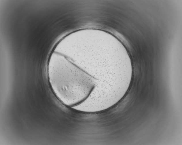 X0000111661238200908281103