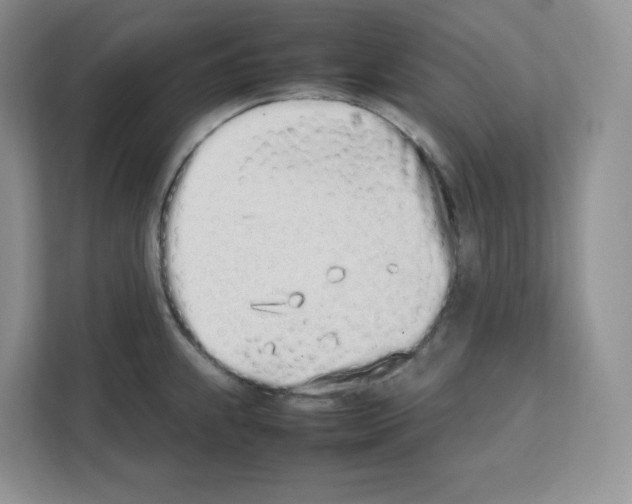 X0000111661239200908281103