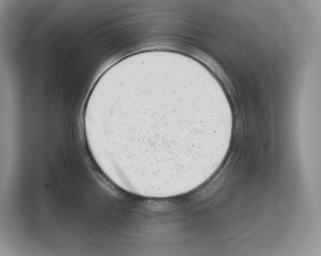 X0000111661242200908281103