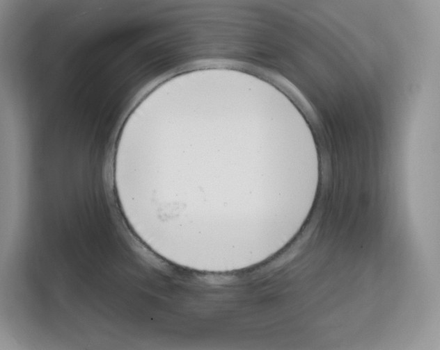 X0000111661244200908281103