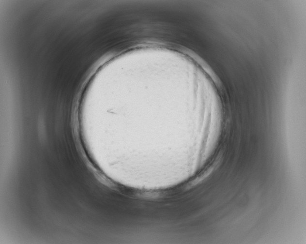 X0000111661245200908281103