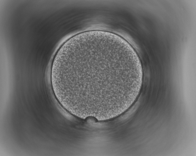 X0000111661246200908281103