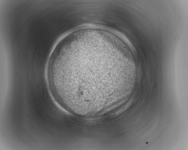 X0000111661247200908281103