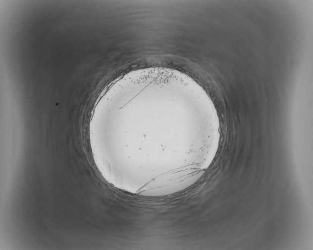 X0000111661249200908281102