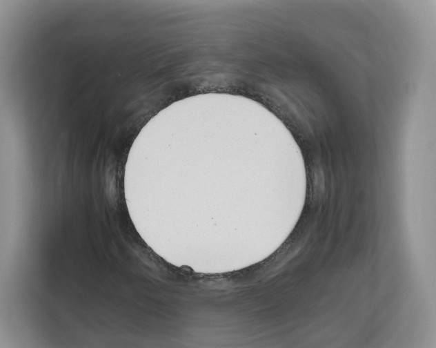 X0000111661250200908281102