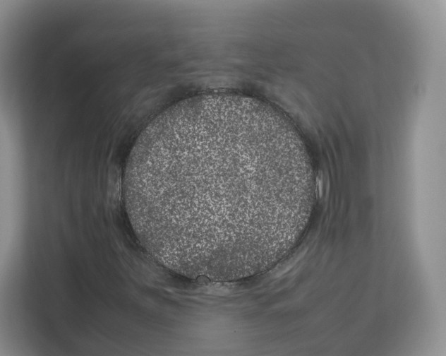 X0000111661251200908281102