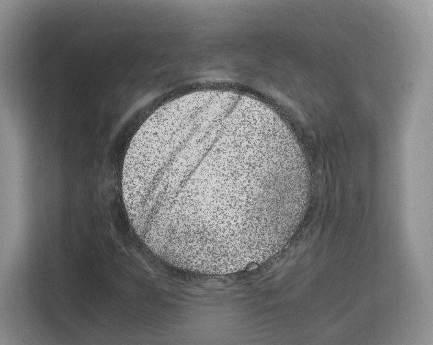 X0000111661255200908281102