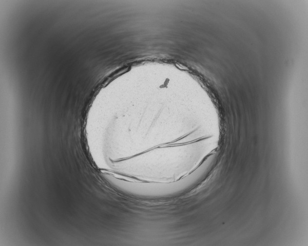 X0000111661257200908281102