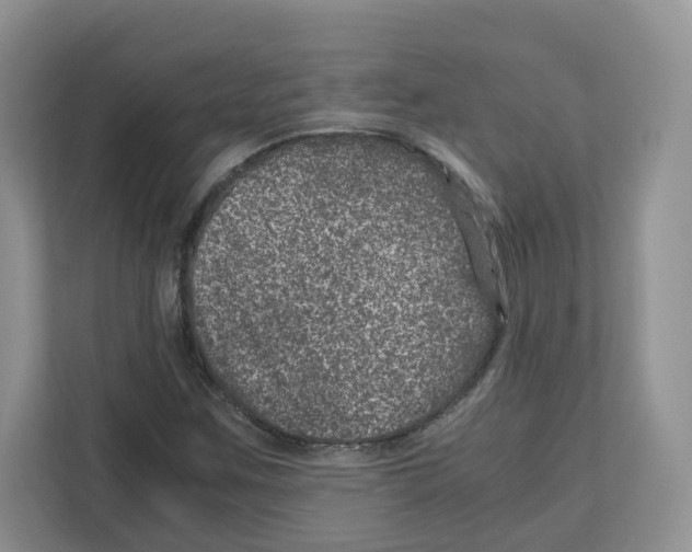 X0000111661259200908281102