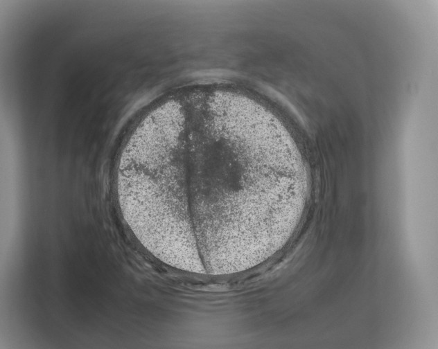 X0000111661261200908281102