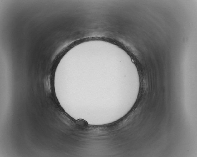 X0000111661262200908281102