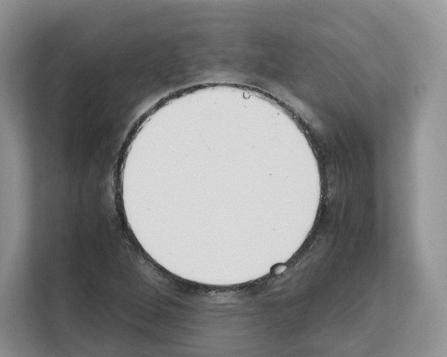 X0000111661264200908281102