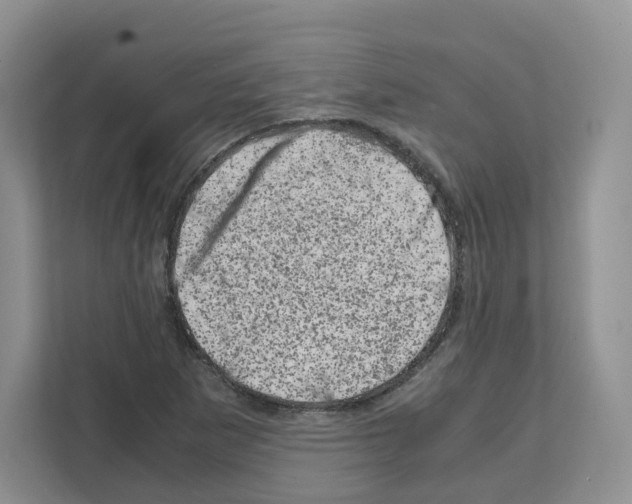 X0000111661265200908281102