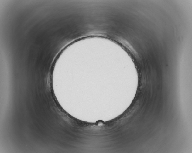 X0000111661268200908281102