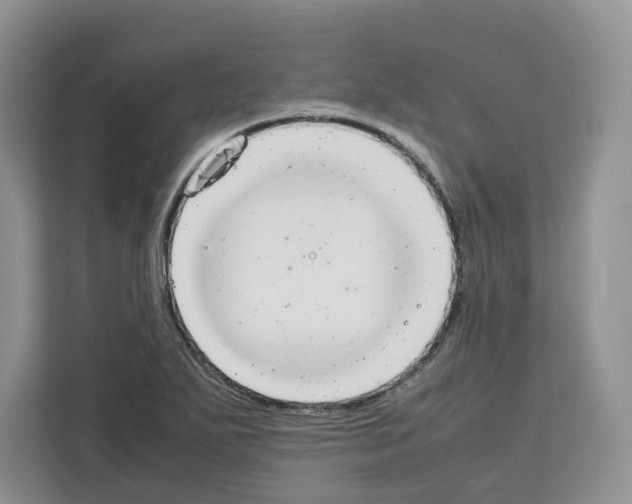 X0000111661271200908281102