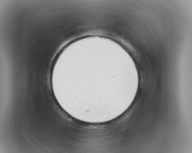 X0000111661272200908281102