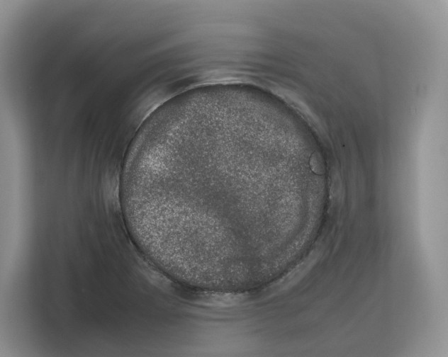 X0000111661273200908281102