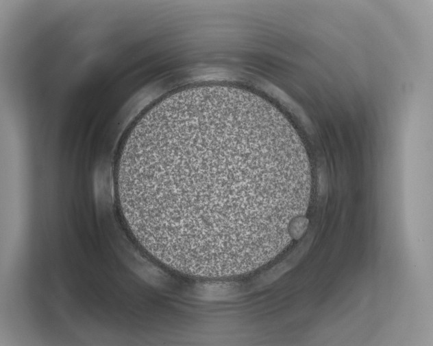 X0000111661274200908281102