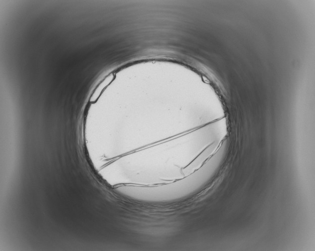 X0000111661275200908281102