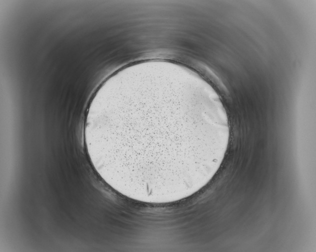 X0000111661276200908281102