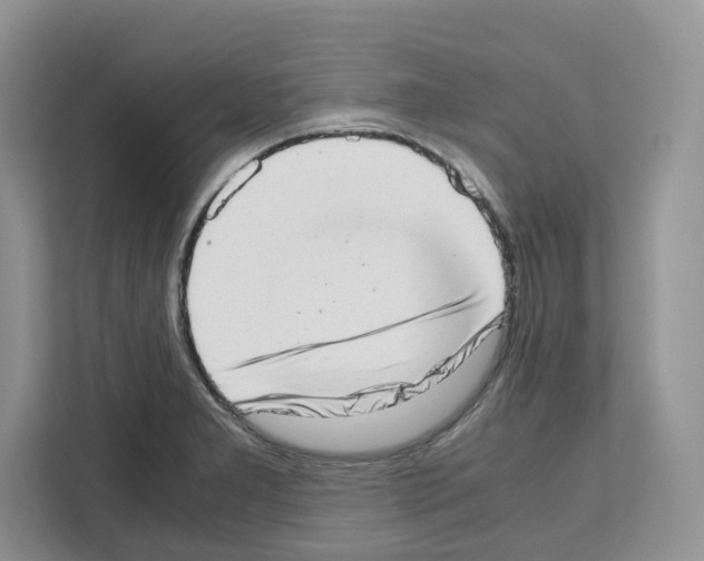 X0000111661277200908281102