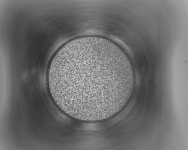 X0000111661278200908281102