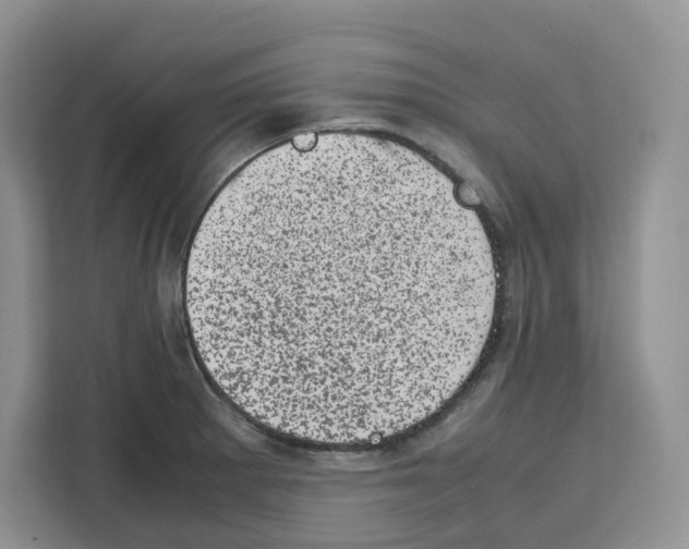 X0000111661281200908281102