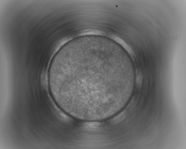 X0000111661282200908281102