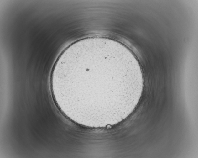 X0000111661283200908281102