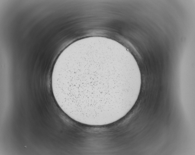 X0000111661284200908281102