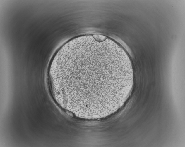 X0000111661285200908281102