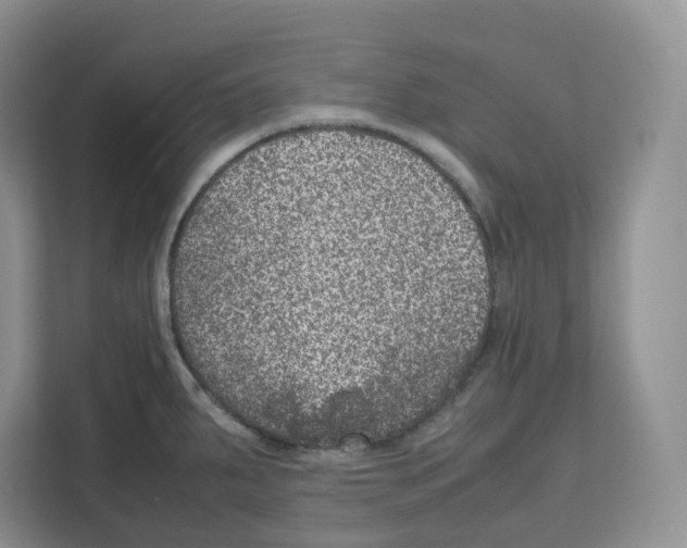 X0000111661287200908281102