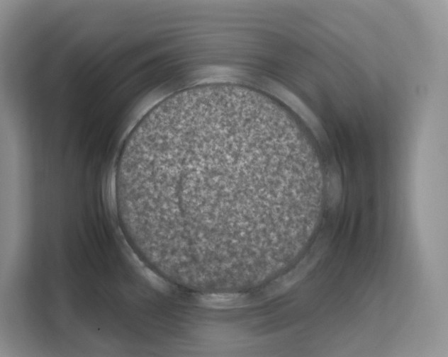 X0000111661290200908281102