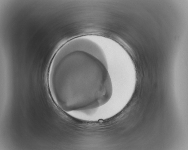 X0000111661291200908281102