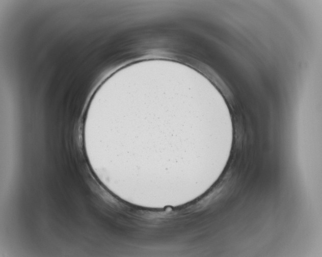 X0000111661292200908281102