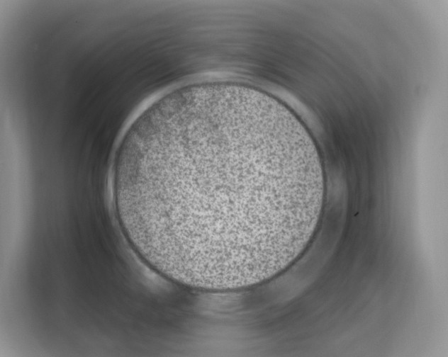 X0000111661294200908281102