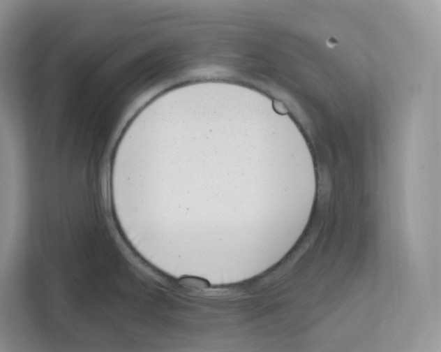 X0000111661295200908281102