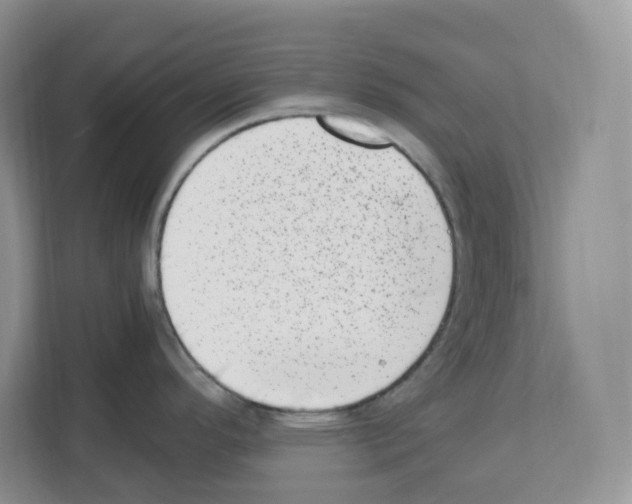 X0000111661296200908281102