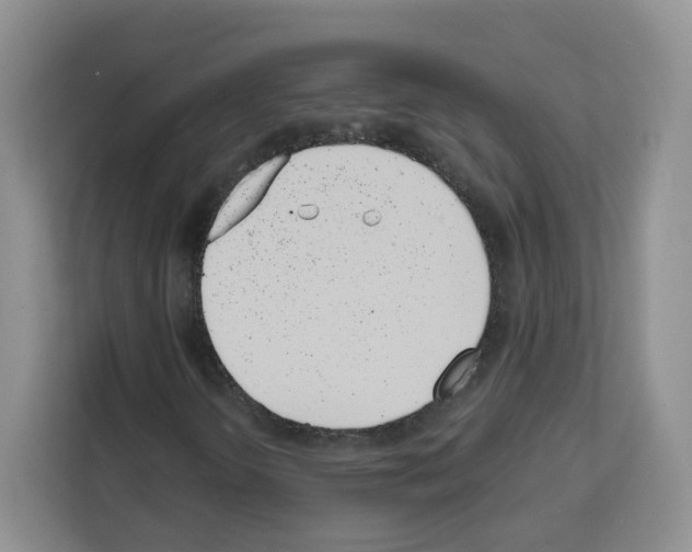 X0000111661298200908281101