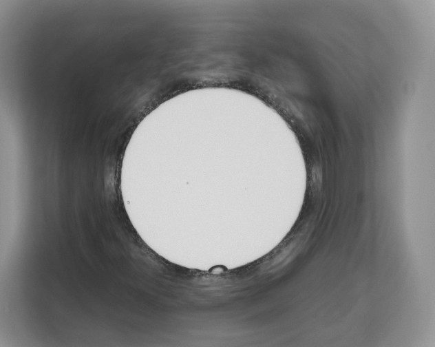 X0000111661300200908281101