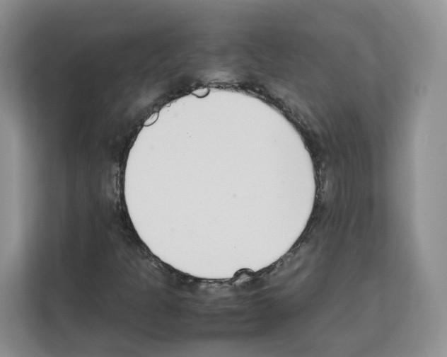 X0000111661301200908281101