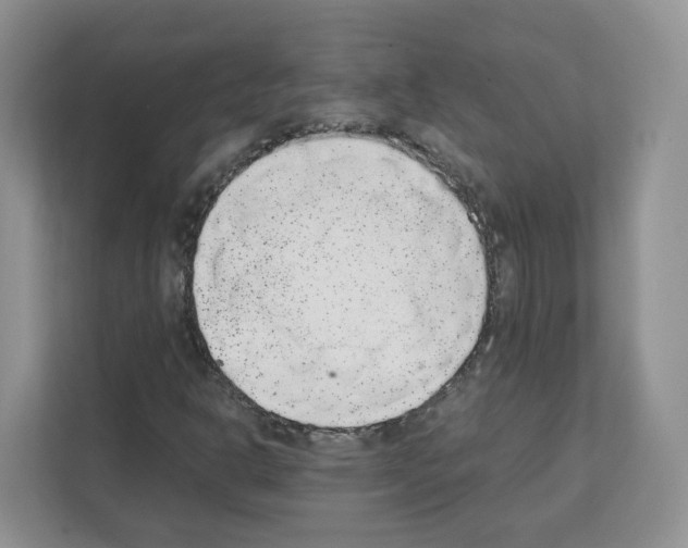 X0000111661302200908281101